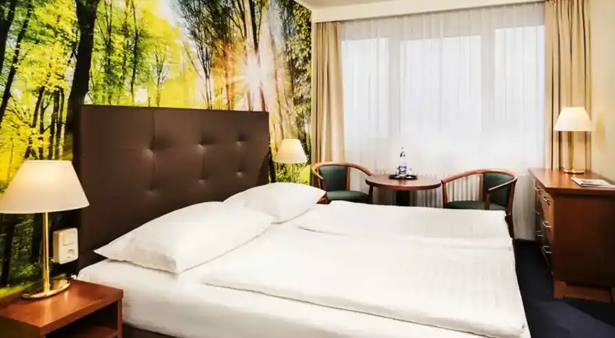 Erzgebirge Ahorn - Bild 3