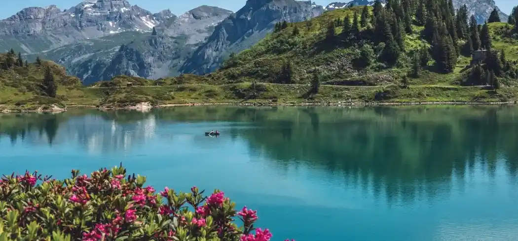 Alpenüberquerung - Bild 1