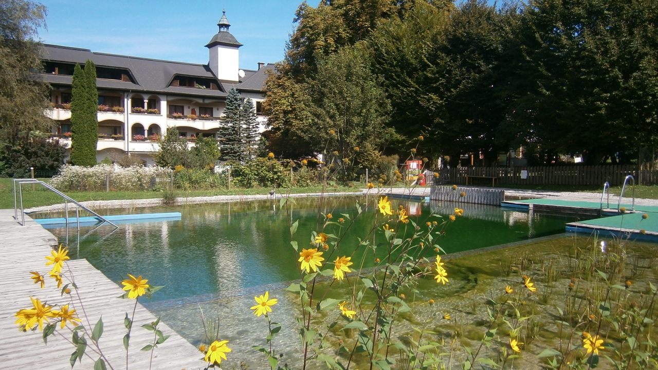 Angebotsfoto 101.jpg