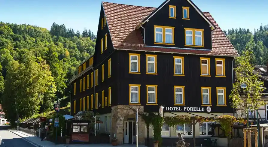 Foto - Ferienhotel Forelle