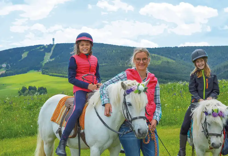 Detail - Elldus Resort