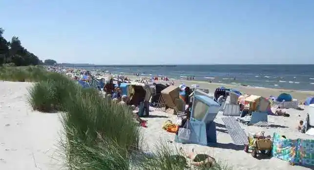 Ferienwohnung Ostseeheilbad - Bild 1