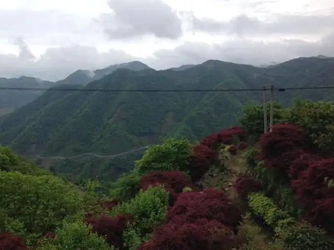 Ansicht - Hongkong Vietnam