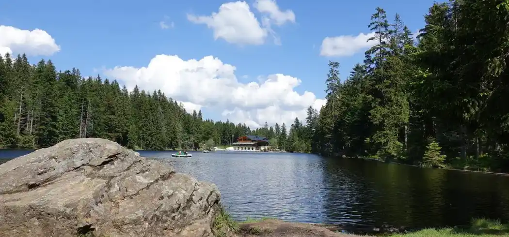 Foto - Bayerischer Wald