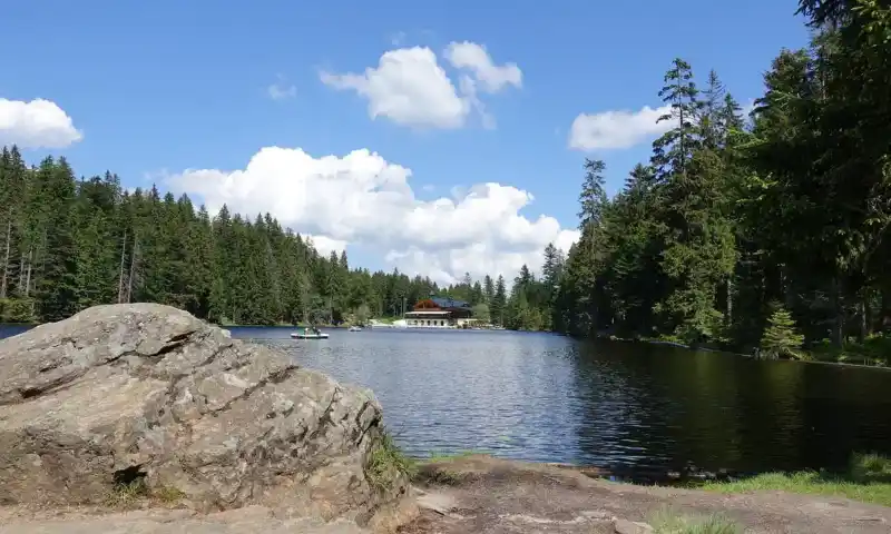 Frühbucher 2026 Bayerischer Wald - 7 Nächte All Inclusive