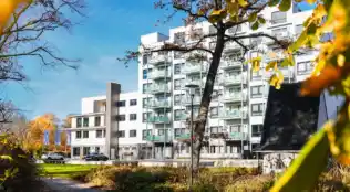 Gandersheimer Boardinghouse in Bad Gandersheim