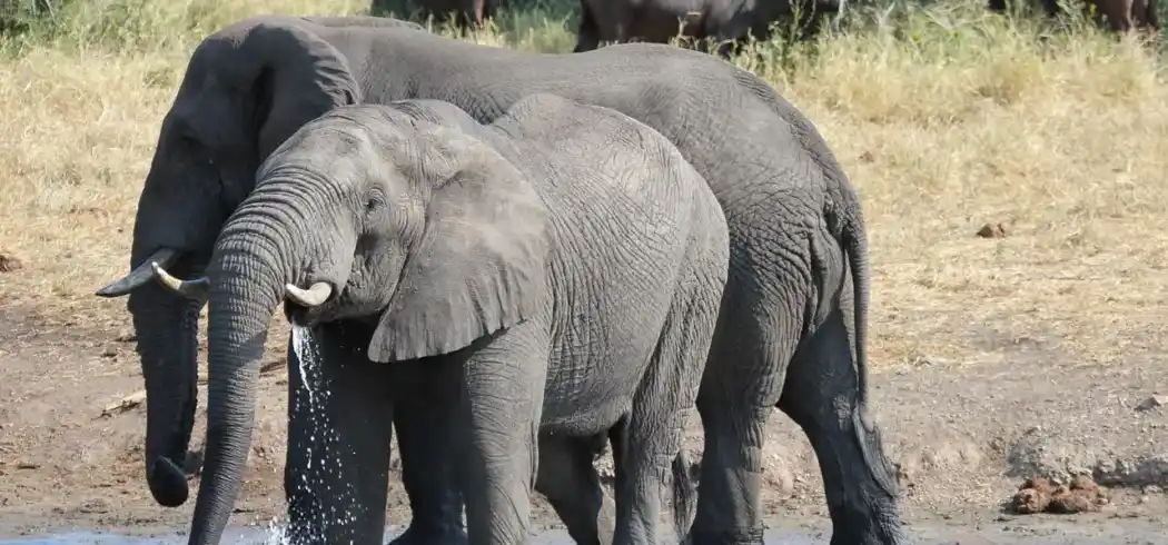 Foto - Große Afrika Rundreise