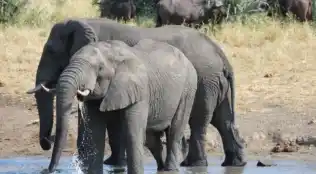 Große Afrika Rundreise