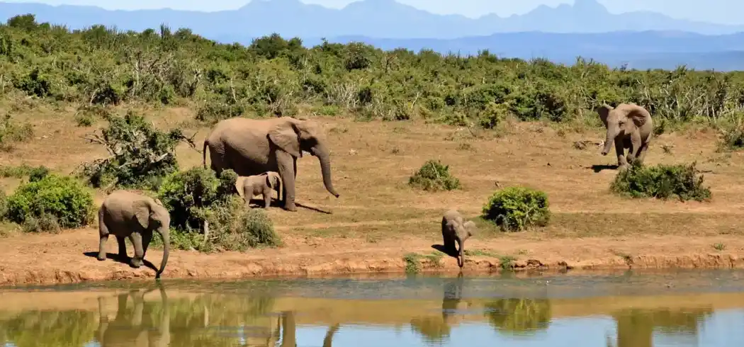 Foto - Rundreise Südafrika