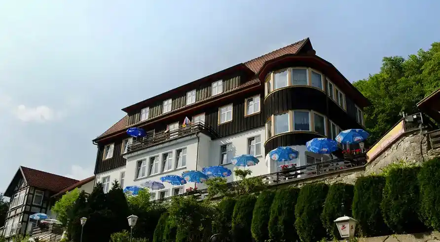 Harz Nächte - Bild 1