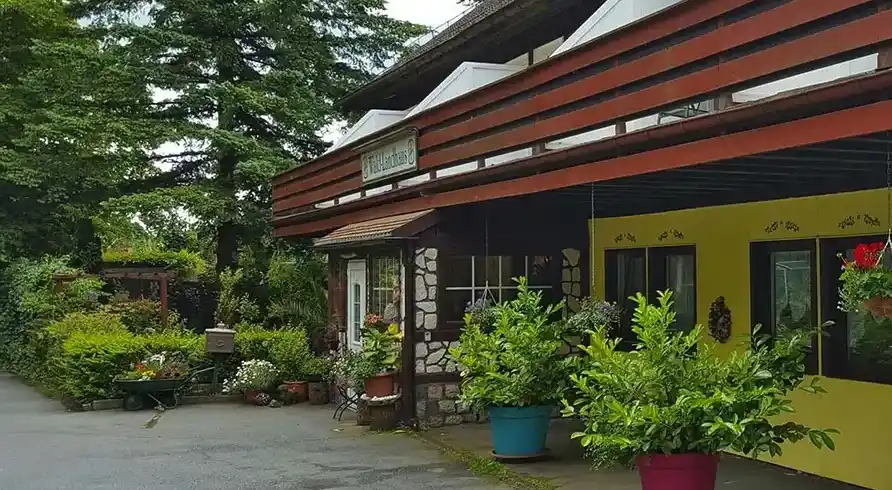 Harz Goslar - Bild 2