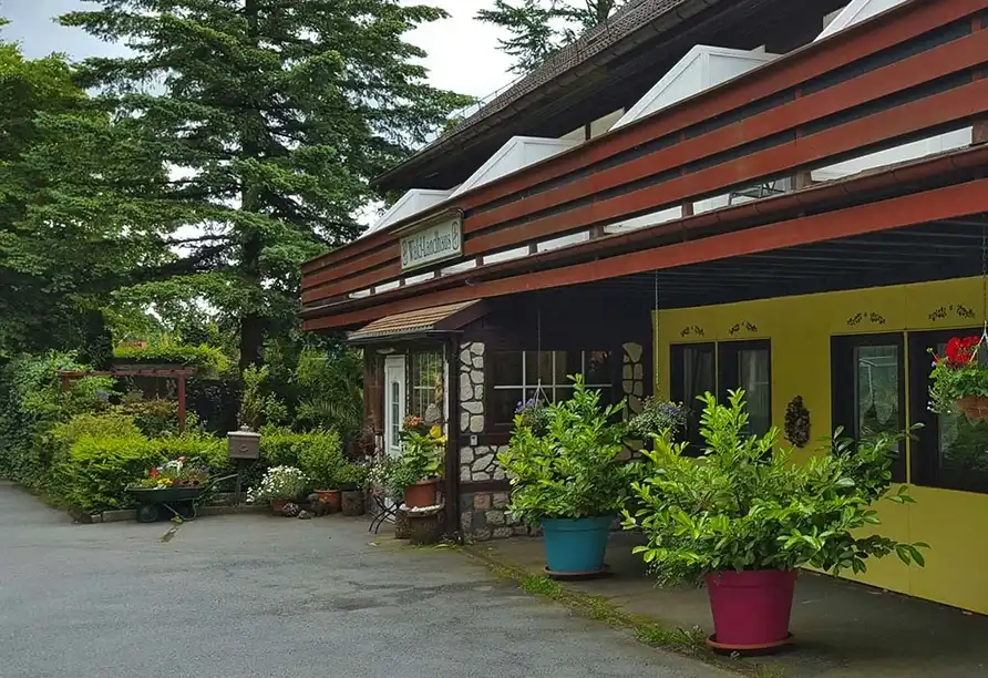 Aufnahme - Harz Goslar