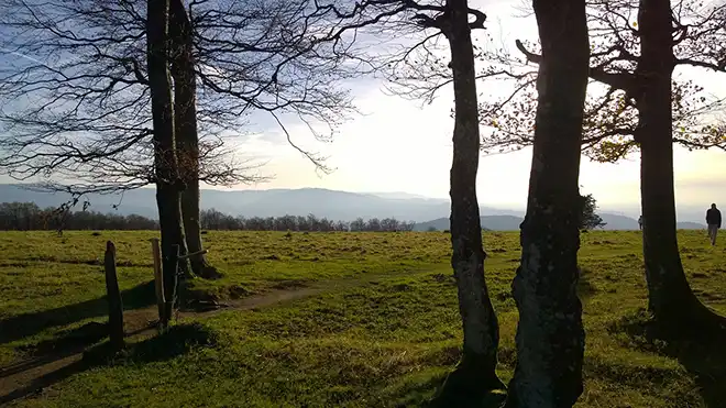 Impression - Kurzurlaub Hochschwarzwald