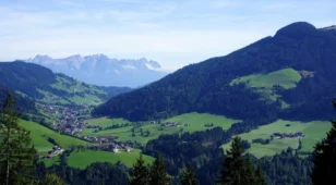 angebotsbild