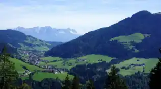 angebotsbild