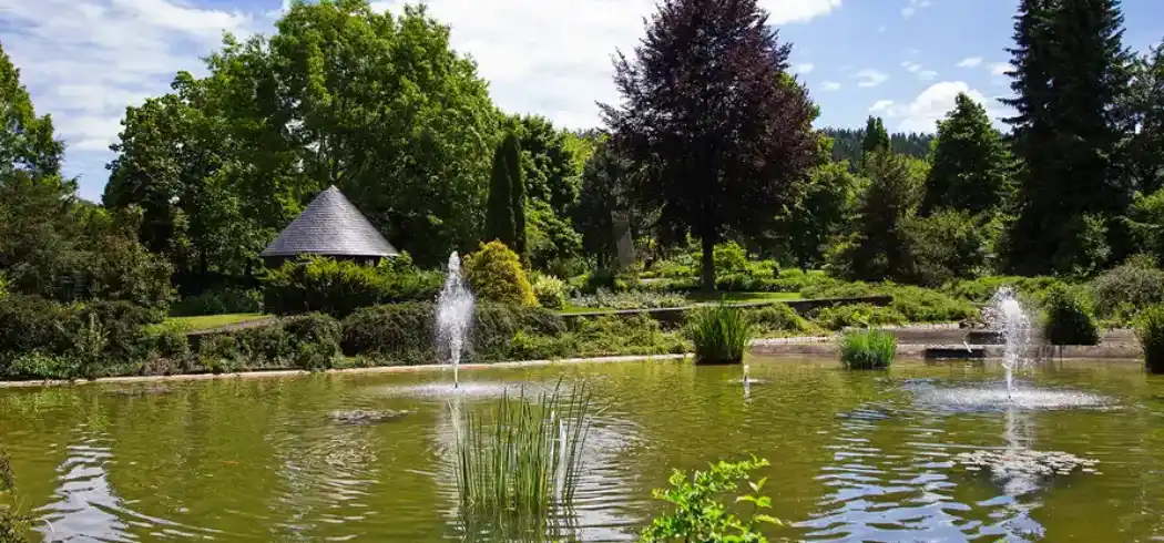 Foto - Hotel Kurpark