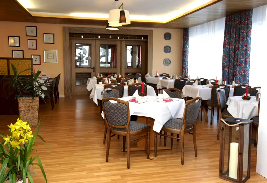 Impression - Schwarzwald Nächte