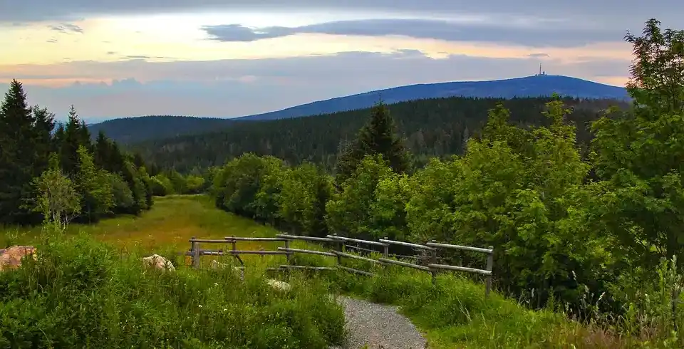 Foto - Hotel Brauner