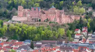 angebotsbild