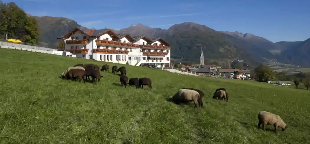 Foto - Hotel Lahnerhof