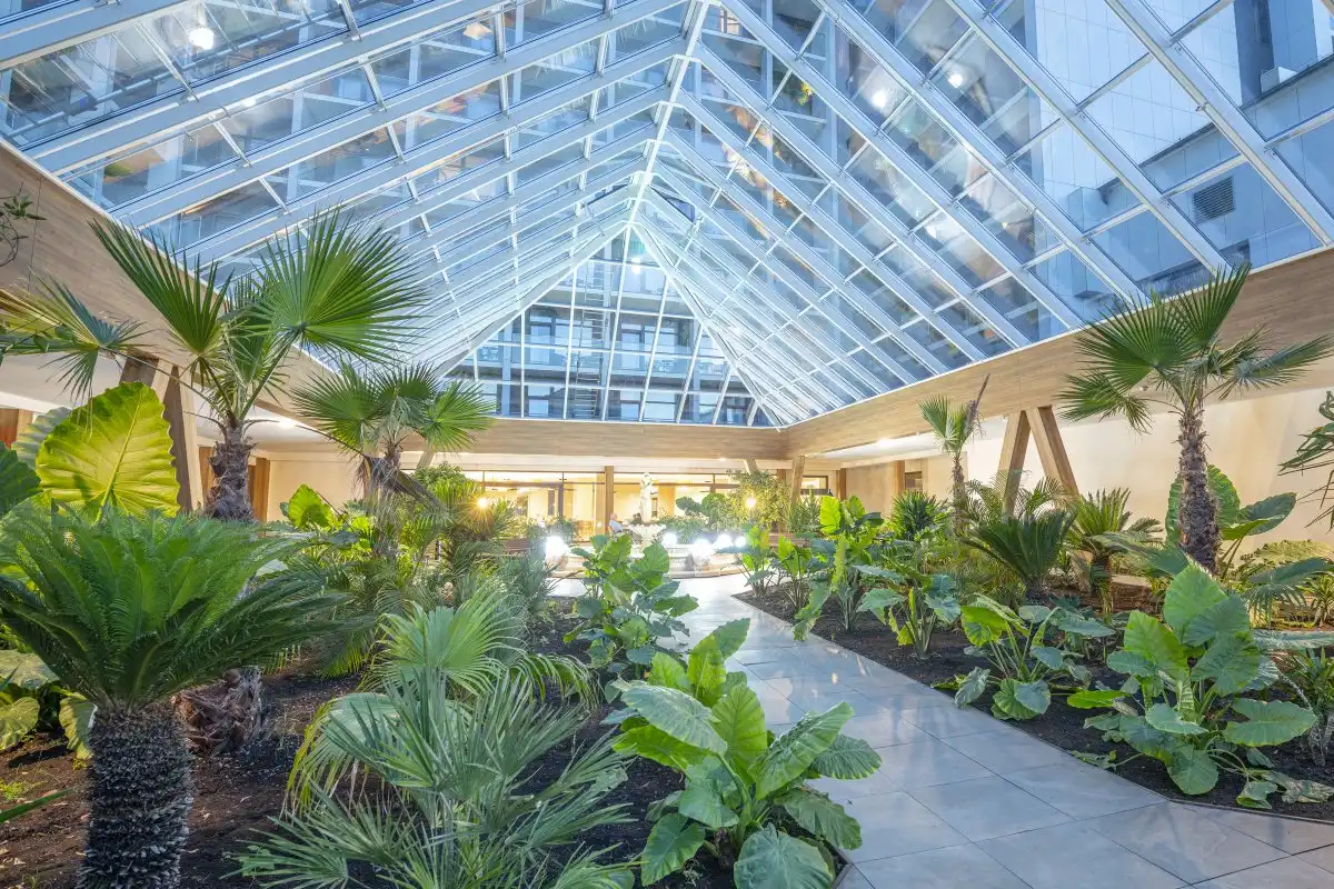 Aufnahme - Hotel Olymp