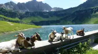 Angebotsbild