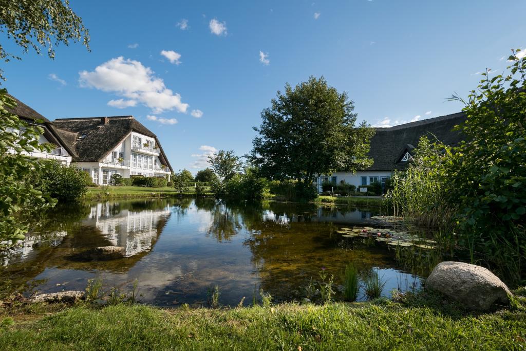 Angebotsfoto 303.jpg
