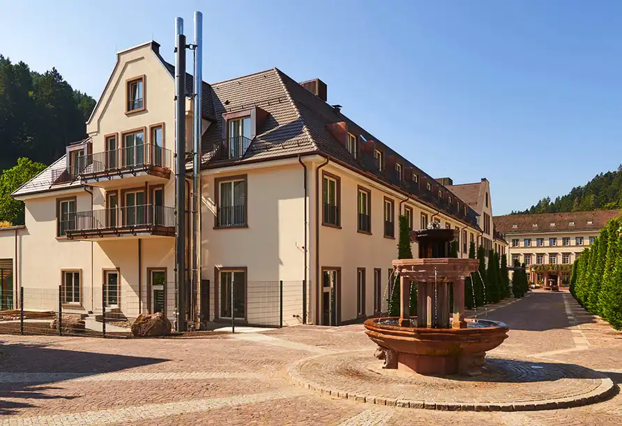 Aufnahme - Hotel Therme