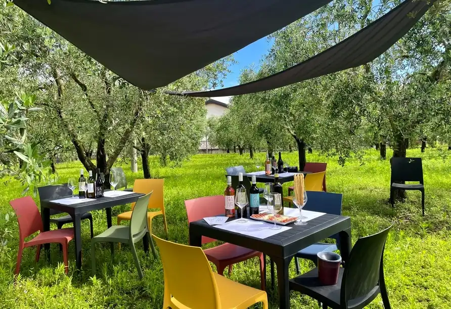 Galerie - Hotelkomplex Palme