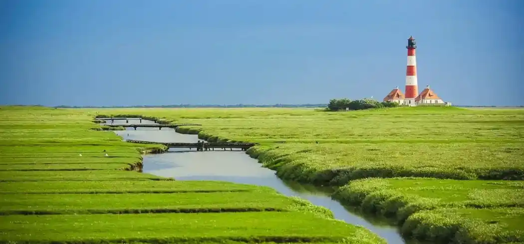 Foto - Inselwandern Nordfriesland