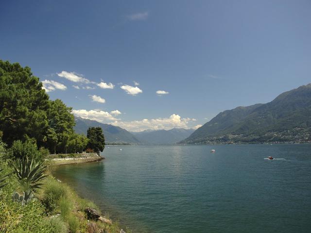 Angebotsfoto 101.jpg