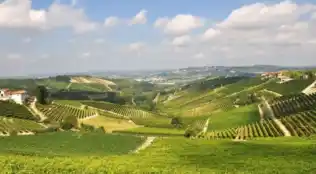 Angebotsbild