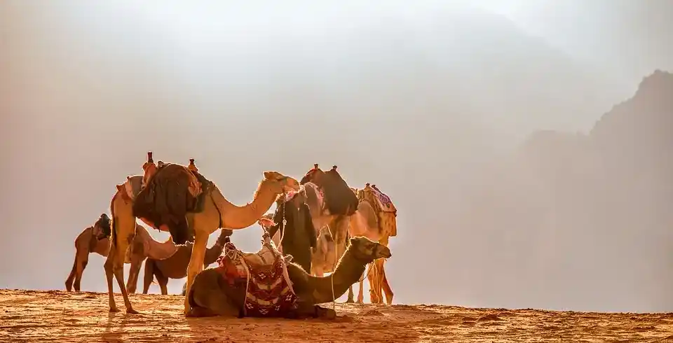 Foto - Jordanien Kleingruppenrundreise