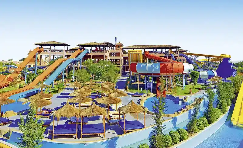 Aufnahme - Jungle Aqua