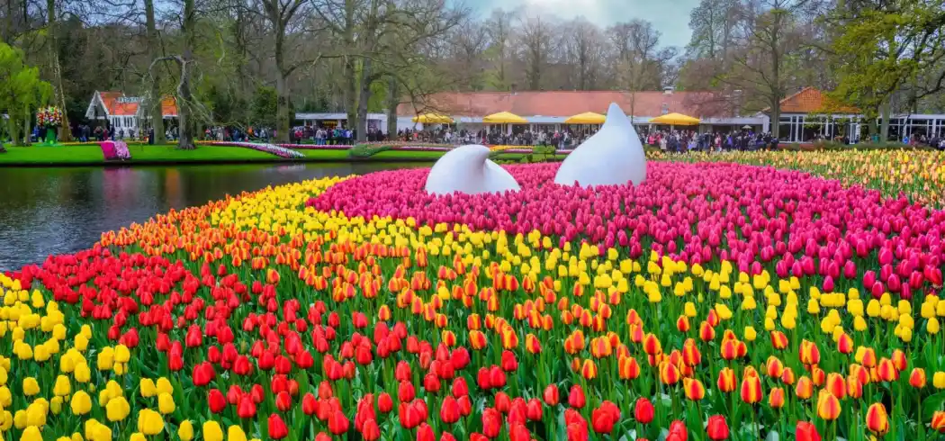 Foto - Keukenhof besuchen im April