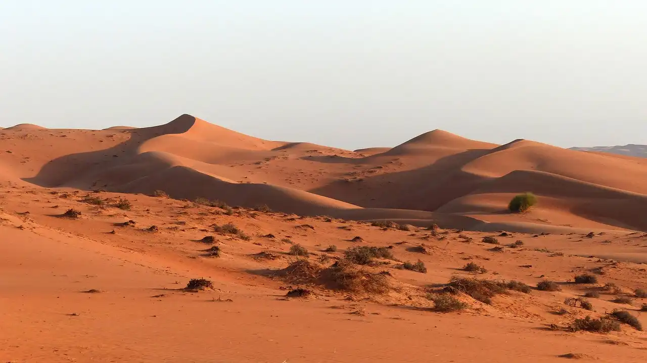 Aufnahme - Kleingruppen-Rundreise Oman & Baden in Salalah