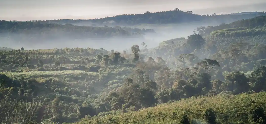 Foto - Vietnam Rundreise
