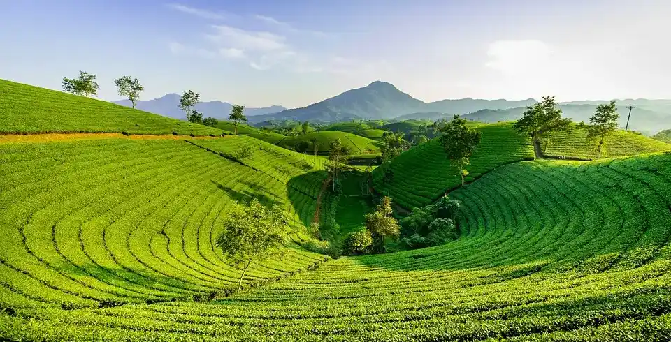 Foto - Kleingruppenrundreise Vietnam