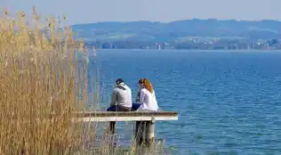 Angebotsbild