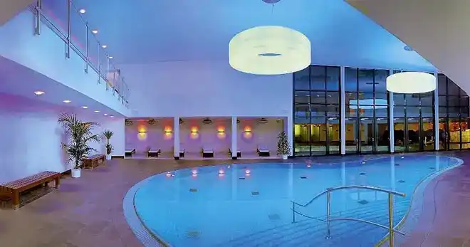 Schwarzwald Nächte - Bild 1