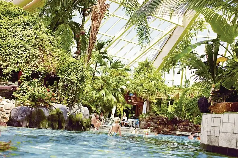 Galerie - Holland Center