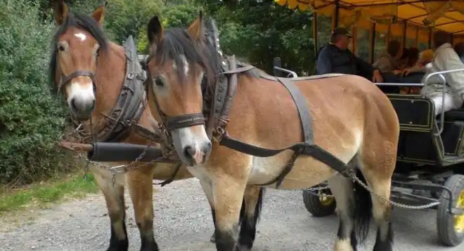 Ansicht - Landhotel Harz