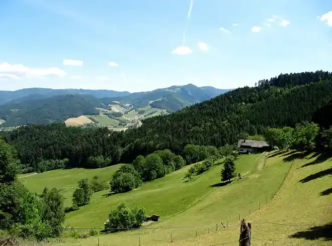 Kurzurlaub Schwarzwald - Bild 1