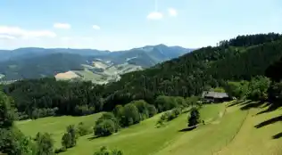 angebotsbild