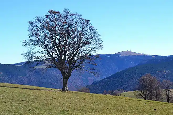 Woche Urlaub - Bild 1