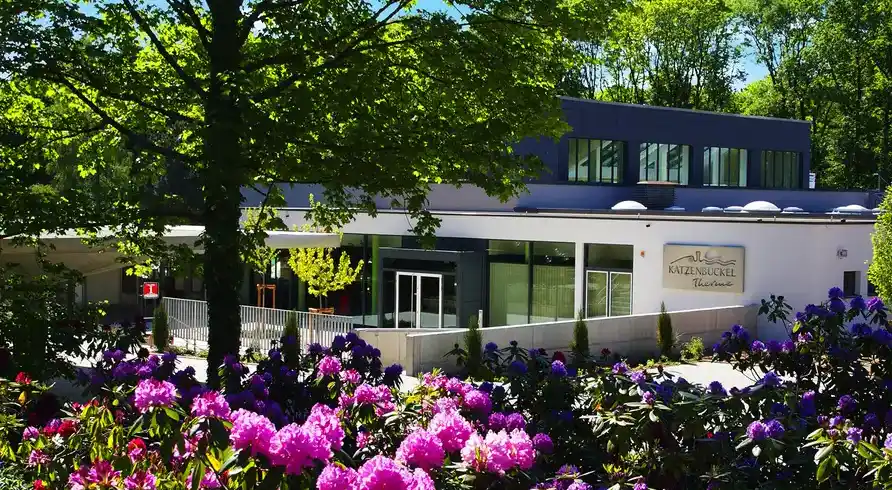 Foto - Odenwald Nächte