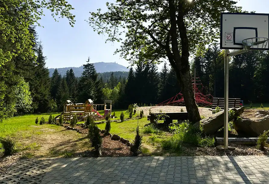 Aufnahme - Bayerischer Wald