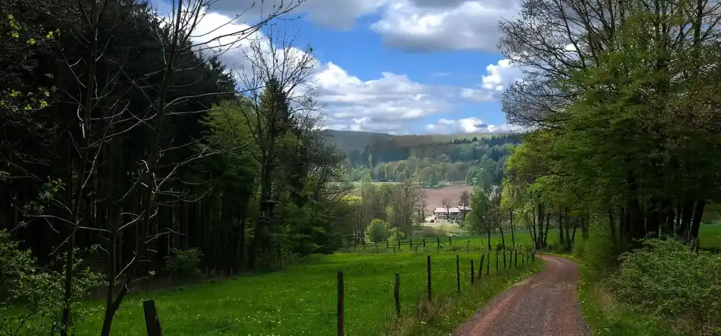 Thüringer Wald - Bild 1