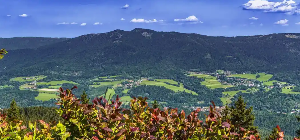 Bayerischer Wald - Bild 1