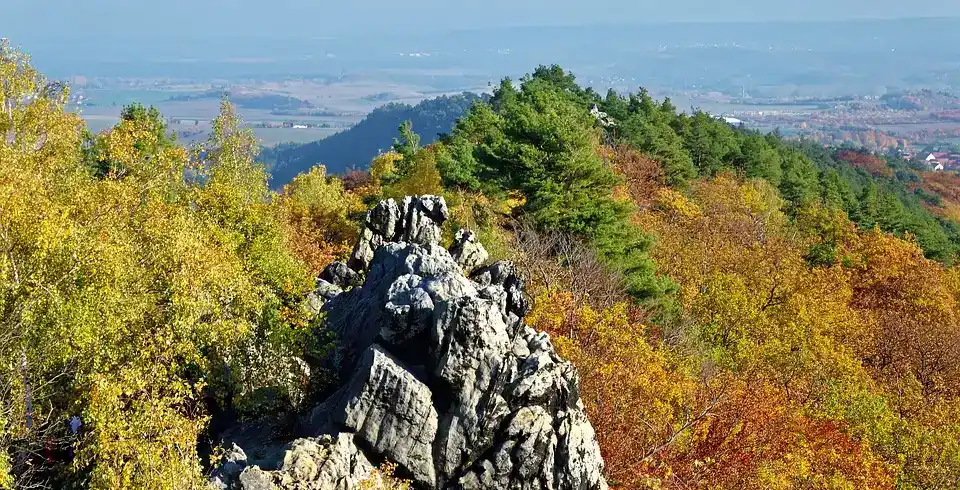 Foto - Landhotel Schäferhof